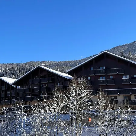 6 Pers, Parking, Ascenseur, Proche Pistes Et Commerces - Fr-1-572-22 * Les Carroz d'Araches